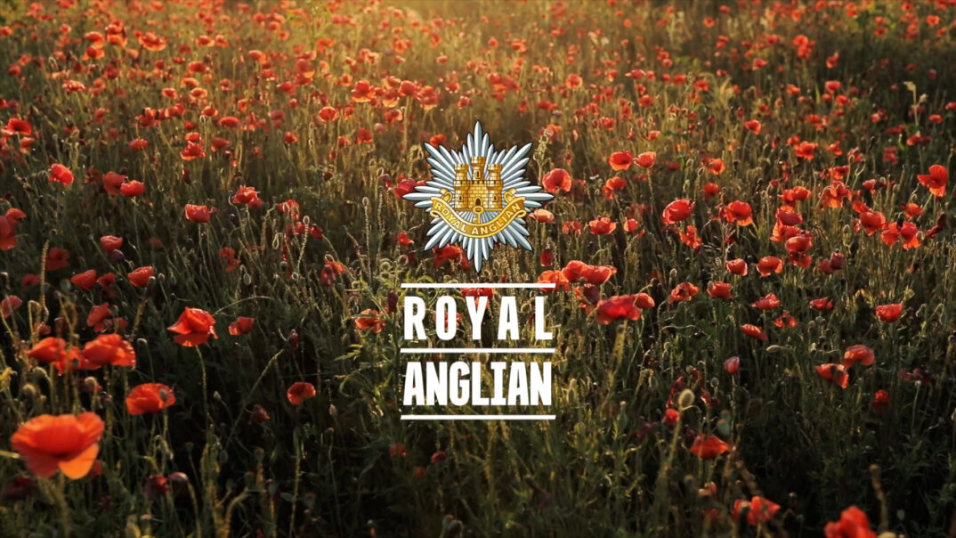 Poppy field with Royal Anglian Regiment logo